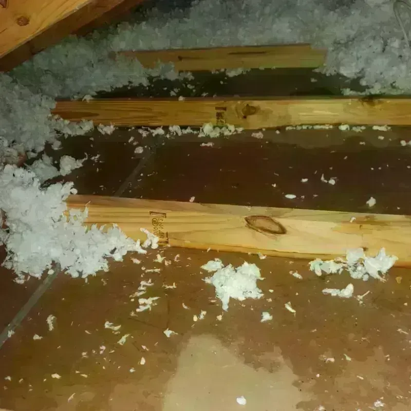 Attic Water Damage in New Albany, OH