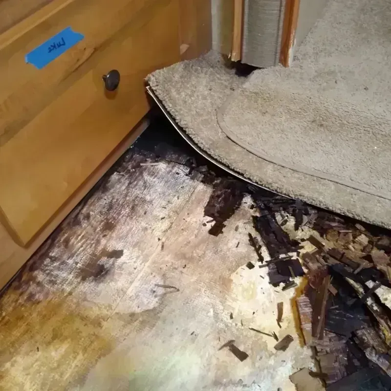 Wood Floor Water Damage in New Albany, OH